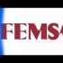 Eugenia Braniff, Curadora Asociada y Consejera en Colección Femsa y Beto Díaz Suárez, Área de Curaduría y Mediación de Colección Femsa, hablan de la exposición por los 50 años de la Colección FEMSA en el Museo MARCO que cuenta con más de 170 obras de maestros modernos y contemporáneos destaca por su ambición interdisciplinaria.

"No es una revisión cronológica; organizamos la muestra en cinco 'constelaciones' temáticas, territorios, estructuras coloniales, abstracción, alquimia e identidades, para que el público cree sus propios diálogos entre artistas de distintas generaciones y latitudes. Es una invitación a conectar con el arte desde nuevas perspectivas"

La curaduría logra un equilibrio difícil al integrar pintura, escultura, video y performance, utilizando una museografía innovadora de Mauricio Mesta y Max Von que potencia el mensaje de las obras.







COMENTA ESTE VIDEO Y COMPARTELO CON TUS AMIGOS

Para más información entra: https://www.youtube.com/watch?v=6pLXCoJQvPE


No olvides dejarnos tus comentarios y visitarnos en 

Sitio: http://www.imagenradio.com.mx 
Facebook: https://www.facebook.com/ImagenRadio/?locale=es_LA
Twitter: https://x.com/Imagen_Mx
Suscríbete a nuestro canal:  https://www.youtube.com/channel/UCB0BUmdBOrH9mYU2ebs1eWA


#imagenradio #noticiasenvivo