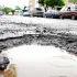 bache