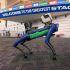 perros robot hyundai