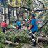 Se atiende emergencia por más de 180 árboles caídos tras intensa tormenta
