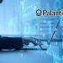 GNP Seguros usará tecnología de Palantir.