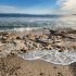 Se propondrá una nueva ruta para la restauración ambiental y el control de la erosión que permita el libre tránsito en la playa