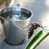 Cómo eliminar los criaderos de mosquitos del dengue en casa