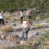 En el Cerro de la Cementera se sumaron mil plantas nativas a un proyecto que contempla restaurar 210 hectáreas entre este espacio y el Bosque Urbano La Sauceda.