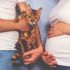 Cómo se contagia la toxoplasmosis en el embarazo Los gatos no son el principal riesgo_1