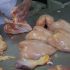 Importaciones de pollo brasileño amenazan empleos e inversiones en México, alerta la UNA.