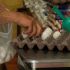 Inflación en México: cebolla, chile y huevo suben de precio.