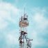 La experta señaló que en la misma redacción de los lineamientos había muchos errores