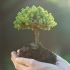 Innovación, financiamiento y el valor de la sostenibilidad en el Mexico Carbon Forum 2026