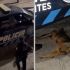 Policías de Aguascalientes disparan a perro.