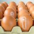 ¿Qué es la salmonella y cuáles son sus síntomas?