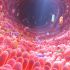 La microbiota ayuda a regular tu intestino