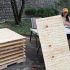 Presentan denuncia ante Profepa por tablas con clavos anti osos