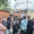 Los vecinos se reunieron frente a la vecindad donde habitan los perros.