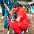 La Alcaldía Tlalpan alcanzó un histórico de más de 78 mil atenciones gratuitas para animales de compañía y comunitarios.