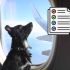 Requisitos para viajar con perro en avión o autobús en México