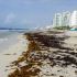 Costa de Cancún, Quintana Roo, zona hotelera