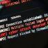 ¿Qué es PHP y por qué sus fallas de seguridad alertaron a sitios web de todo el mundo?