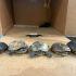 Frustran envío de 5 tortugas endémicas de México a Malasia
