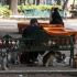Se instalarán módulos con veterinarios en estos parques para brindar atención primaria ante cualquier emergencia.