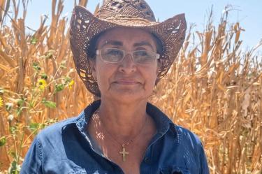 La construcción y operación de la planta generará un impacto económico inmediato en la zona norte del estado