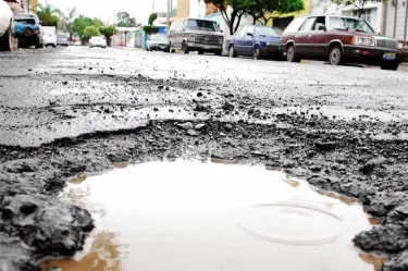 bache