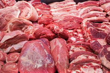 Prevén alza de hasta 12% en exportaciones de carne a EU y Canadá por el Mundial.