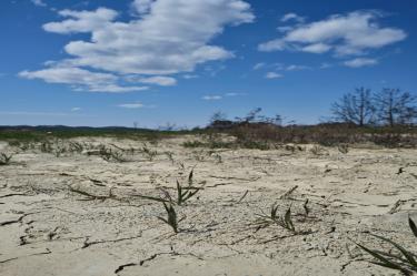 Avanza sequía a 16.8 por ciento de la superficie del país; Sinaloa, Coahuila y Sonora los más afectados