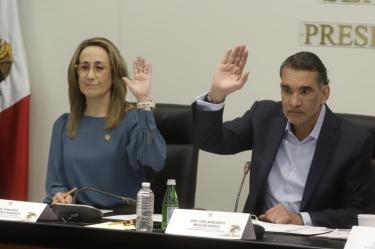 Partido Verde llama a fortalecer la tenencia responsable para combatir el abandono animal
