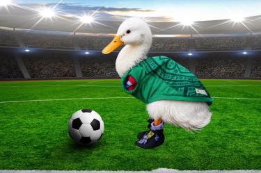 ¿Quién es Merlín, el pato viral que conquistó el Mundial?