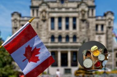 Canadá impone aranceles del 10% a vegetales en conserva: ¿afecta a México y EU?