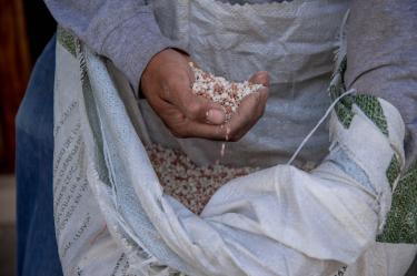 Fertilizantes para el Bienestar beneficia a 1.7 millones de productores