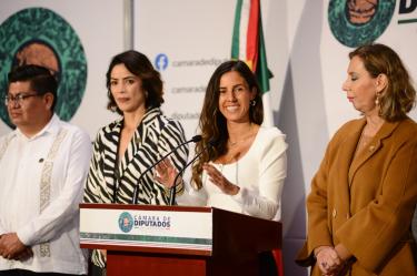 PVEM advirtió que la impunidad en la contaminación y sobreexplotación de los recursos naturales genera un impacto destructivo