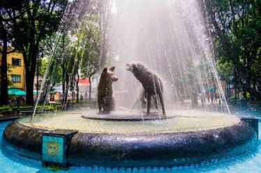 ¿Qué hacer en Coyoacán?