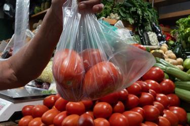 Profeco destaca caída del 41% en costo del jitomate; este es el motivo