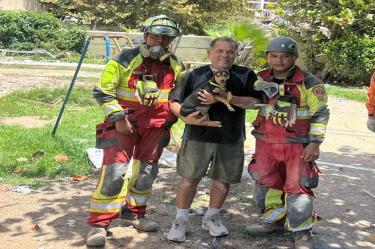 Elementos del Ejército mexicano rescataron con vida a una perrita llamada 'Sarita' en Venezuela