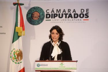 El PVEM recordó que la reforma aprobada por el Congreso busca fortalecer las fiscalías especializadas para garantizar investigaciones oportunas