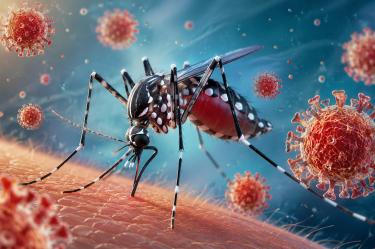 El dengue es una de las enfermedades más preocupantes en temporada de lluvias