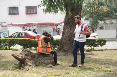 Durante una semana personal de la alcaldía recorrió 41 puntos de la demarcación como parte del trabajo coordinado con dependencias de los gobiernos de la Ciudad de México y de México