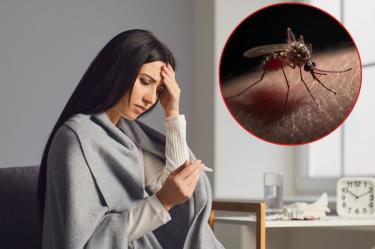 Dengue, zika y chikungunya cómo distinguir sus síntomas