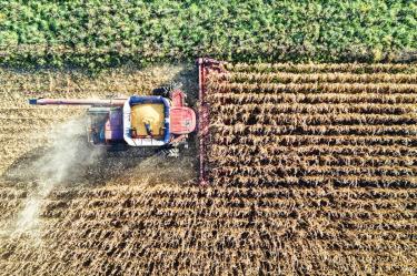 T-MEC y productividad frenan al campo; PIB agropecuario crecerá solo 1%