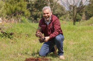A través del programa “Bio Renace”, se utilizará tecnología aérea de última generación para dispersar 200 mil semillas en zonas de difícil acceso o con severo deterioro ambiental.