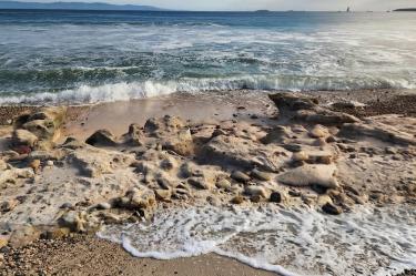 Se propondrá una nueva ruta para la restauración ambiental y el control de la erosión que permita el libre tránsito en la playa