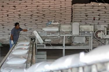 La USTR publicó la distribución de contingentes arancelarios para la importación de azúcar de caña y refinada en el Año Fiscal 2027.