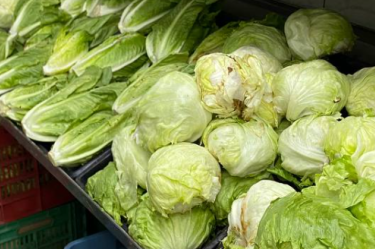 La Cofepris no encontró rastros del parásito Cyclospora cayetanensis en las lechugas ni en el agua de la planta de Taylor Farms México