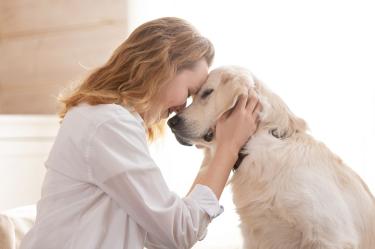 ¿Cómo saber si mi perro o gato ya está viejo y cómo cuidarlo?