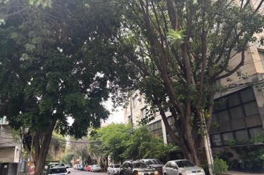 Anfitriones señalan contradicción entre la política turística federal y la regulación de la Ciudad de México