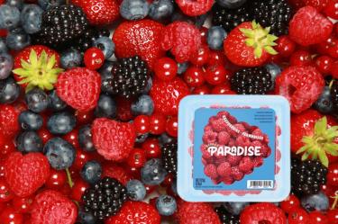 En pleno boom de los frutos rojos, Berries Paradise planea producir en Perú y EU.