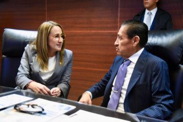 El PVEM busca mejor atención a mujeres víctimas de la violencia con fiscalías especializadas