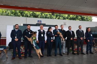 Jubila Aduanas 4 perros detectores y presenta nuevo ingreso.